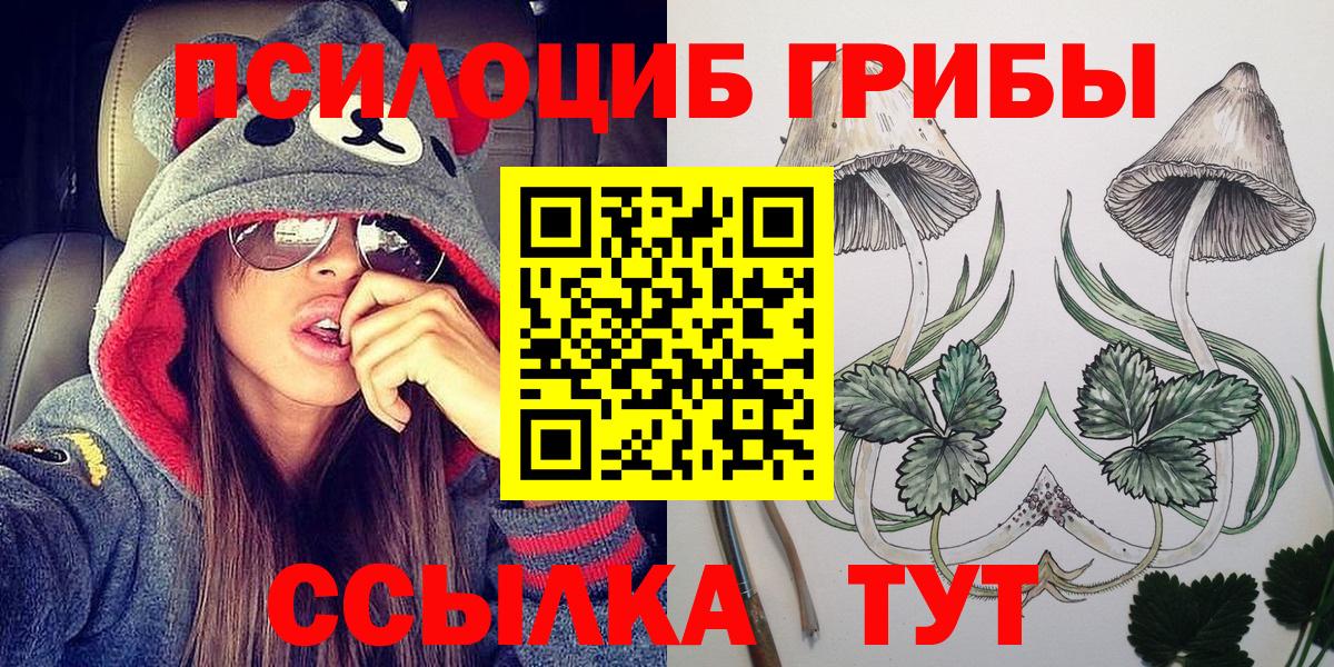 Псилоцибиновые грибы Magic Shrooms  Вход с VPN  Красногорск  Псилоцибиновые грибы мицелий 